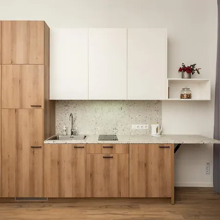 Air 214 Apartment *