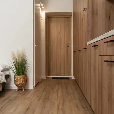 Air 214 Apartment *